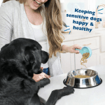 Keeping Sensitive Dogs Happy and Healthy