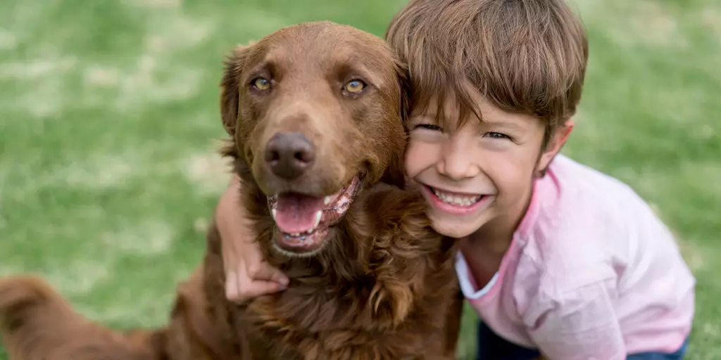 A happy healthy dog, with his best friend, after eating Bil-Jac Sensitive Solutions Digestive & Immune Support probiotic dog food.