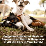 Complete and Balanced meals to support the health and happiness of all the dogs in your family