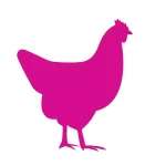 Fresh Chicken Icon