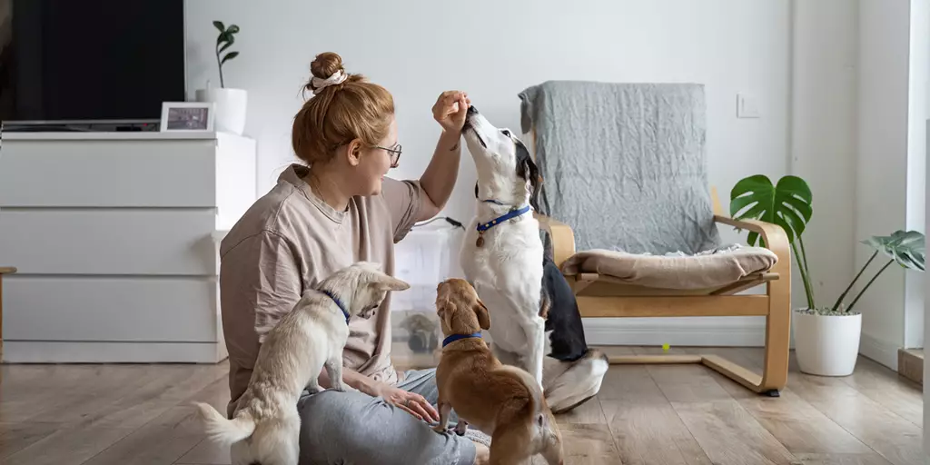 A woman giving her dogs made with treats made of quality ingredients.