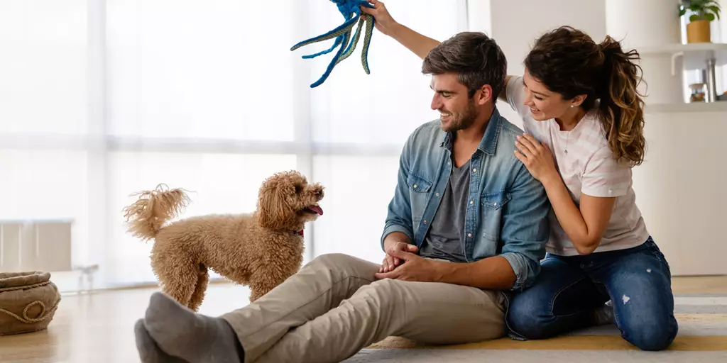 Couple playing with their new puppy at home.