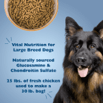 Large Breed Adult Benefits