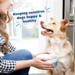 Keeping Sensitive Dogs Happy and Healthy