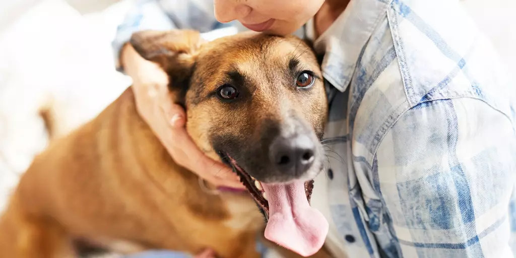 A woman holding a dog who used to have itchy skin from environmental allergies.