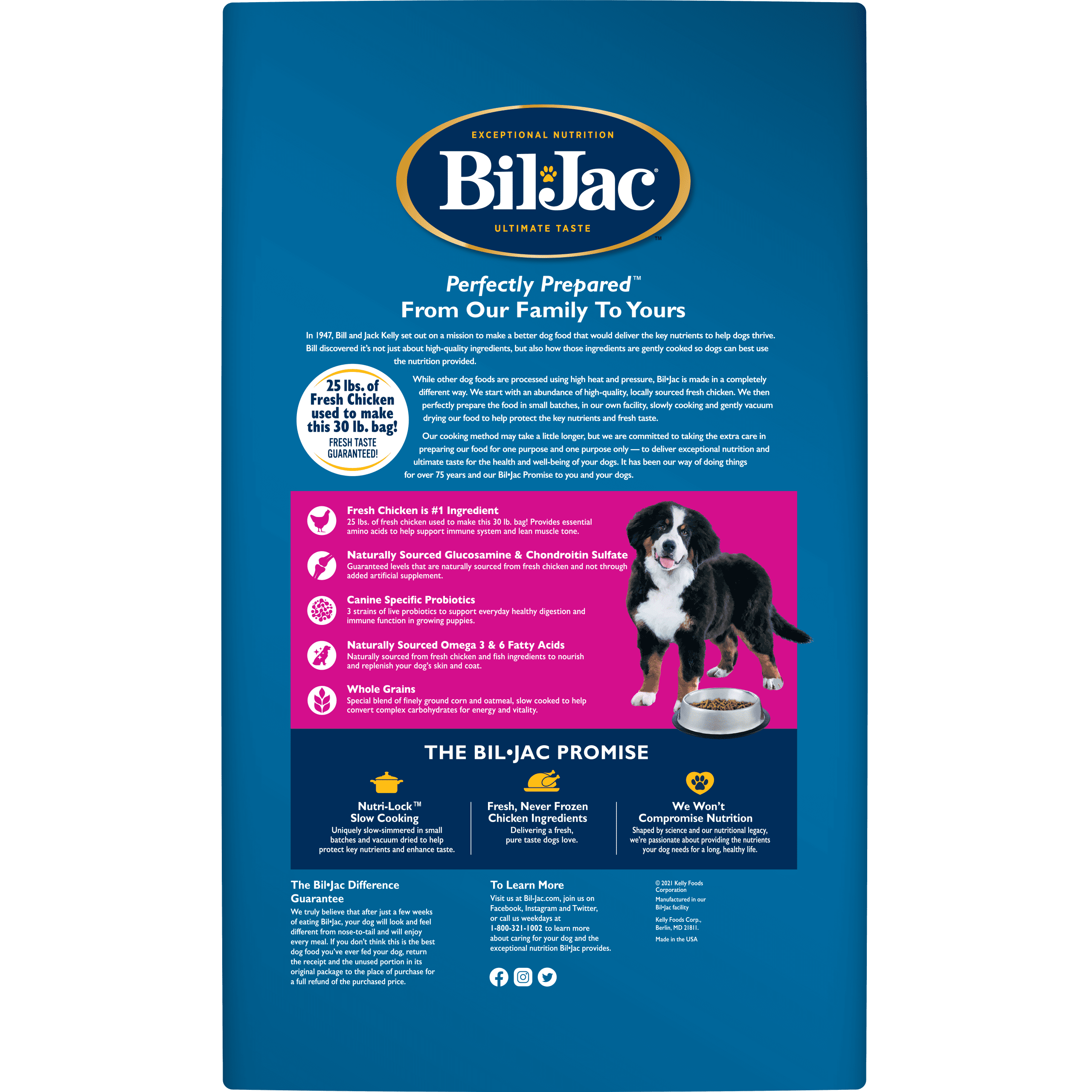 Large Breed Puppy Dry Dog Food