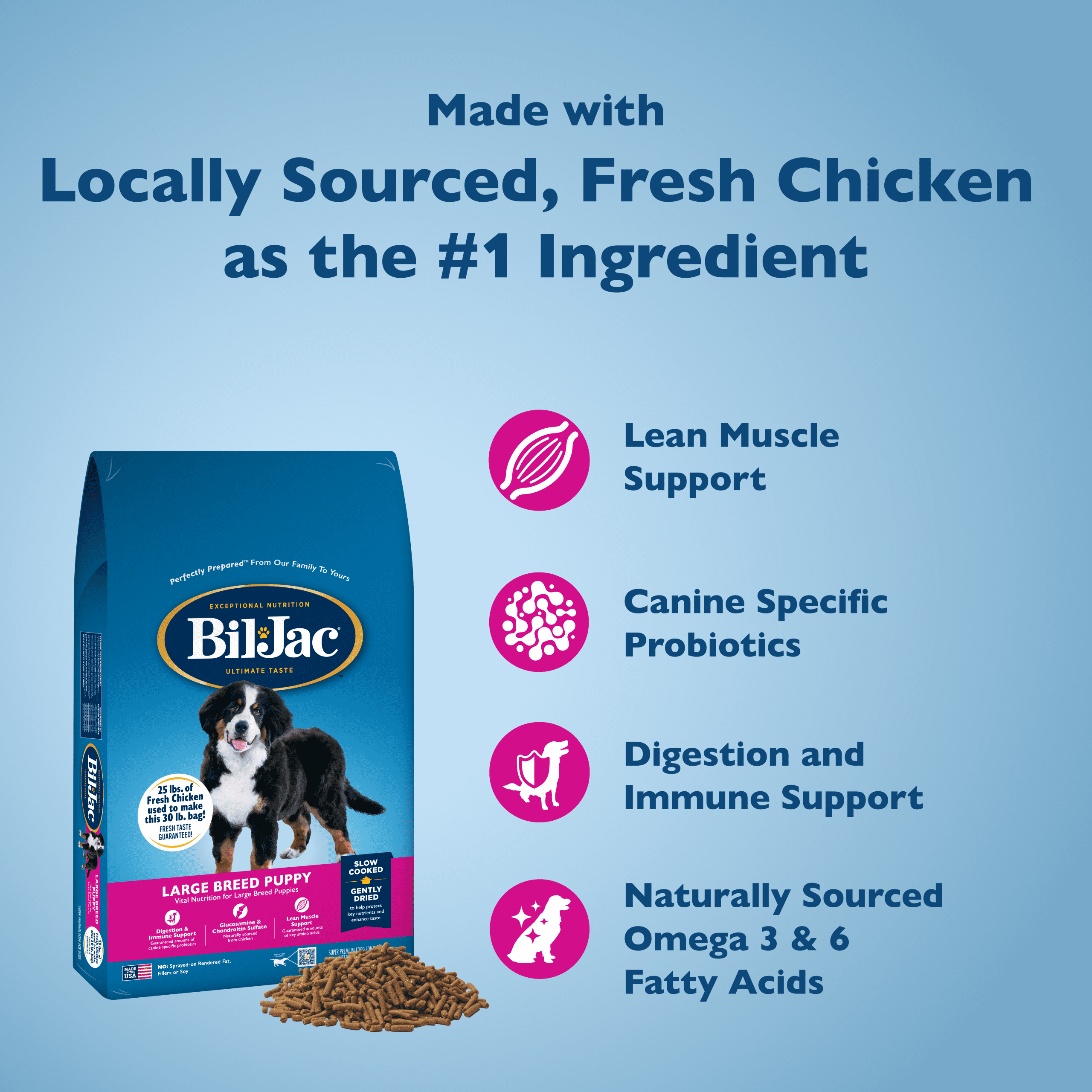 Is Bil Jac a Good Dog Food: Expert Review & Top Benefits