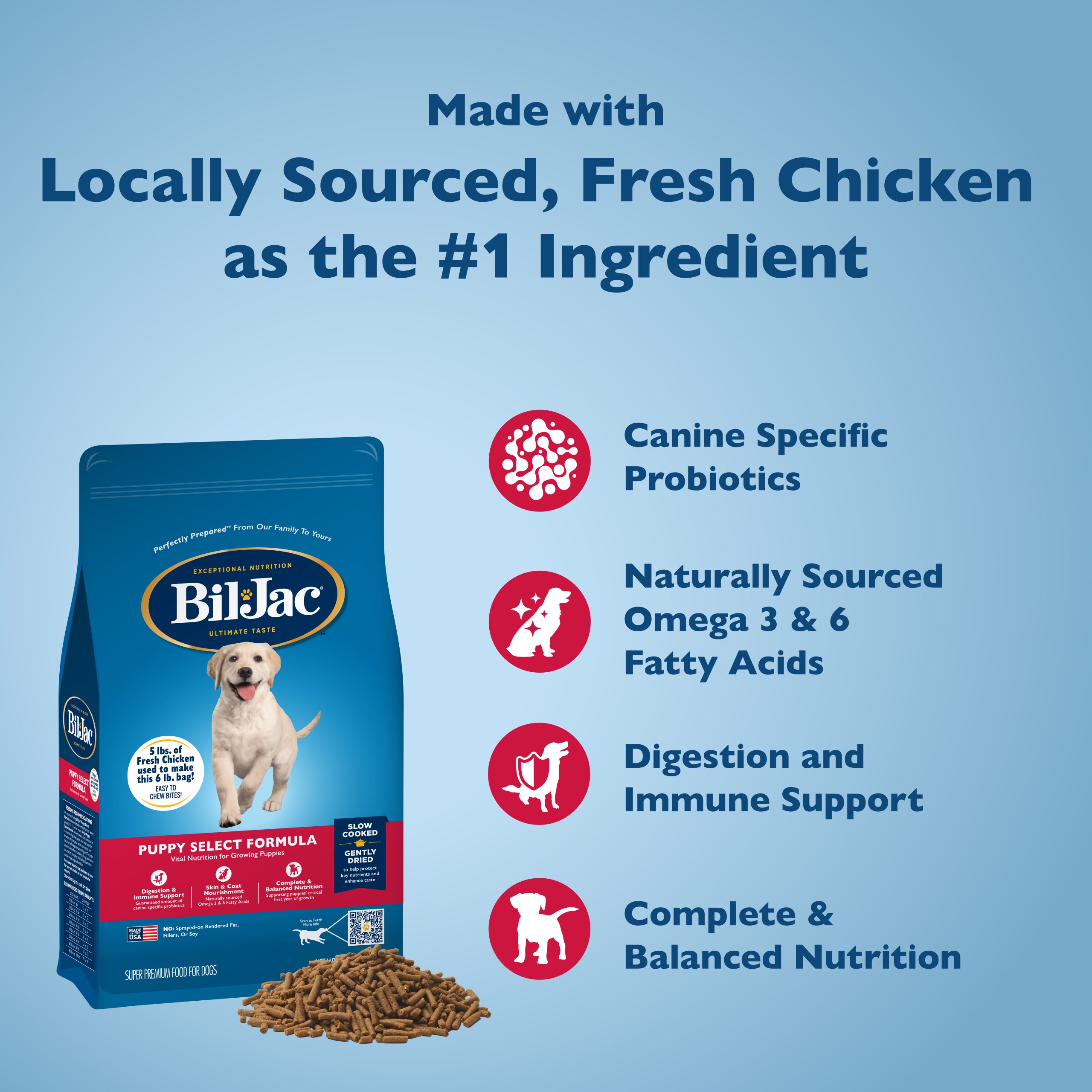 Is Bil Jac a Good Dog Food: Expert Review & Top Benefits
